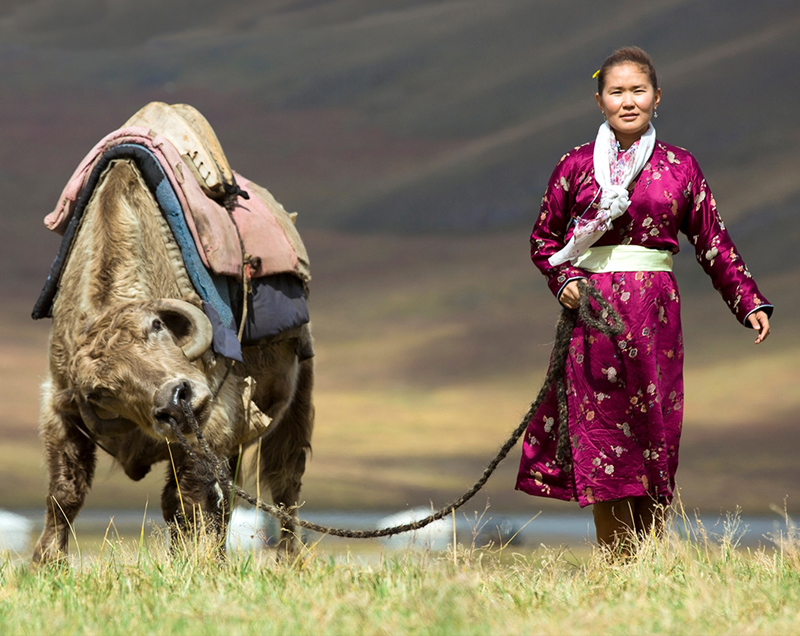 places to visit in mongolia